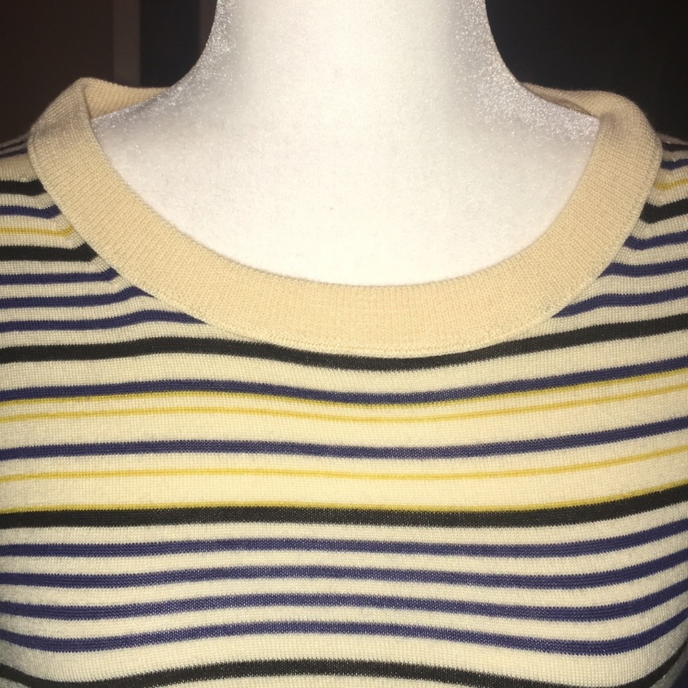 J Crew Crew Neck 100% Merino Wool Sweater - Picture 6 of 14